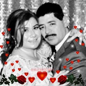 Meet your Posher, Alma